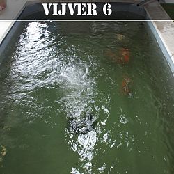 Nog een laatste lap erop...: afbeelding 6