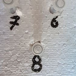 Nooit plezierig, wel belangrijk: afbeelding 1