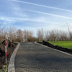 Ontwikkeling Interkoi gaat door: afbeelding 1