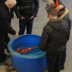 Onverwacht maar des te plezieriger: afbeelding 4