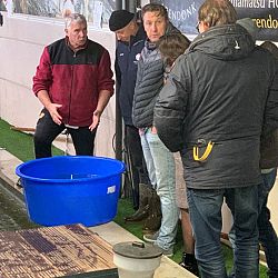 Onverwachte drukke dag: afbeelding 1