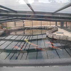 Onze eerste vijvertoer: afbeelding 9