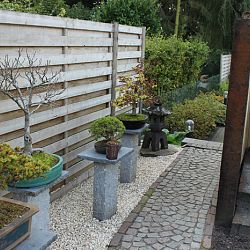 Onze eerste vijvertoer: afbeelding 25