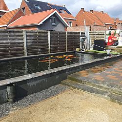 Onzekere en moeilijke tijden: afbeelding 5