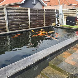 Onzekere en moeilijke tijden: afbeelding 6