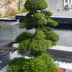 Op bezoek bij: afbeelding 2