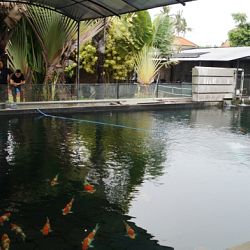 Op bezoek bij Mr. Chandra in Bali: afbeelding 3