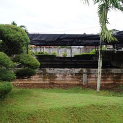 Op bezoek bij Mr. Chandra in Bali: afbeelding 8