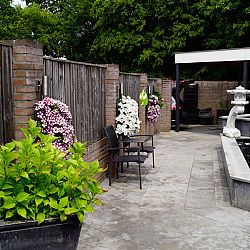 Op bezoek bij Theo: afbeelding 5