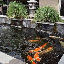 Op bezoek bij Theo: afbeelding 7