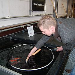 Op speciaal verzoek...Matthijs: afbeelding 4