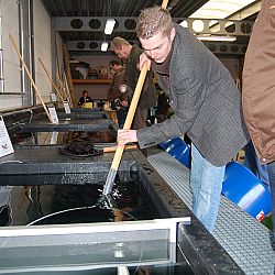 Op speciaal verzoek...Matthijs: afbeelding 5