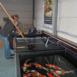 Op speciaal verzoek...Matthijs: afbeelding 7