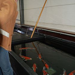 Op speciaal verzoek...Matthijs: afbeelding 12