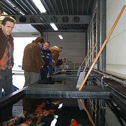 Op speciaal verzoek...Matthijs: afbeelding 13