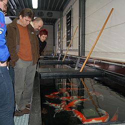 Op speciaal verzoek...Matthijs: afbeelding 14