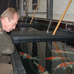 Op speciaal verzoek...Matthijs: afbeelding 22