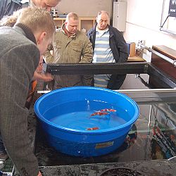 Op speciaal verzoek...Matthijs: afbeelding 28