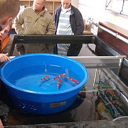 Op speciaal verzoek...Matthijs: afbeelding 29