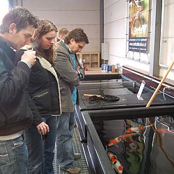 Op speciaal verzoek...Matthijs: afbeelding 44