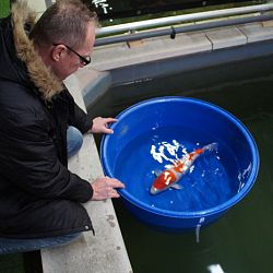 Op stap met Ton: afbeelding 1