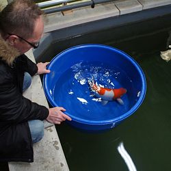 Op stap met Ton: afbeelding 6