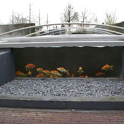Op stap met Ton: afbeelding 7
