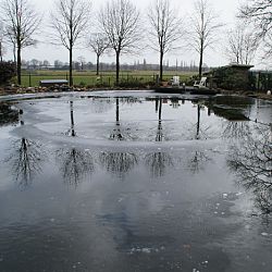 Op stap met Ton: afbeelding 11