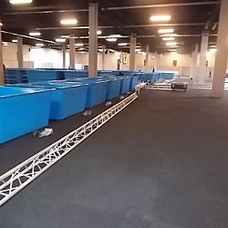Opbouw Rijswijk: afbeelding 11