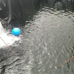 Opbouw Rijswijk: afbeelding 14