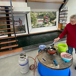 Openingsdagen in Januari: afbeelding 1
