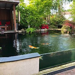 Paradijselijke verblijven: afbeelding 1