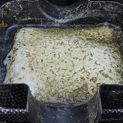 Probites Chlorella: afbeelding 2