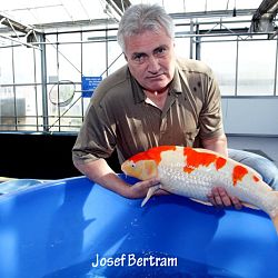Rijswijk door de ogen van Johan: afbeelding 3