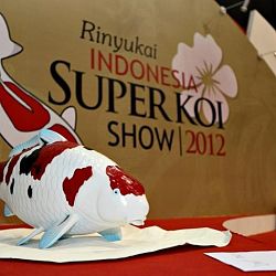 Rinyukai Indonesia Super Koi show: afbeelding 16