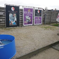 Roeien met de riemen die we hebben: afbeelding 2