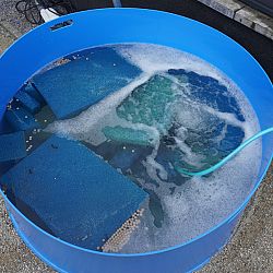 Roeien met de riemen die we hebben: afbeelding 4