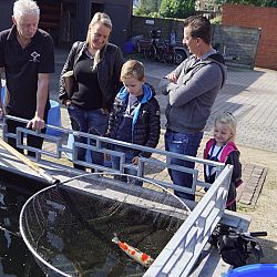 Rood, geel en blauw: afbeelding 1