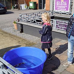 Rood, geel en blauw: afbeelding 2