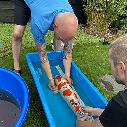 Samenwerking tussen Jack en Matthijs: afbeelding 3