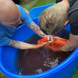Samenwerking tussen Jack en Matthijs: afbeelding 7