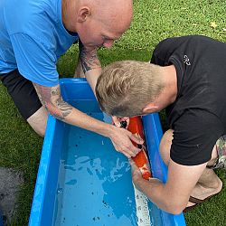 Samenwerking tussen Jack en Matthijs: afbeelding 8