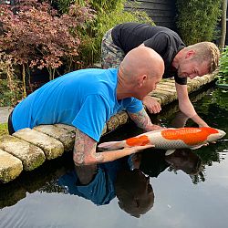 Samenwerking tussen Jack en Matthijs: afbeelding 11