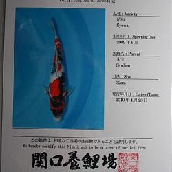 Sekeguchi nr.7 opgehaald: afbeelding 3