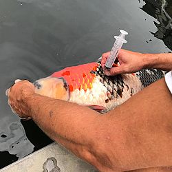 Shit happens: afbeelding 10