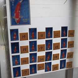 Speciale promotie ter ere japanreis: afbeelding 1