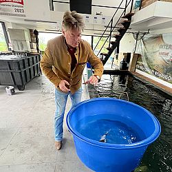Succes op de Dainichi veiling: afbeelding 2
