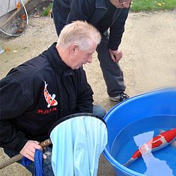 Succes op de Dainichi veiling: afbeelding 1