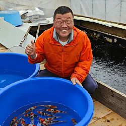 koji tamaura