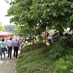 Te gast in Bornem: afbeelding 34